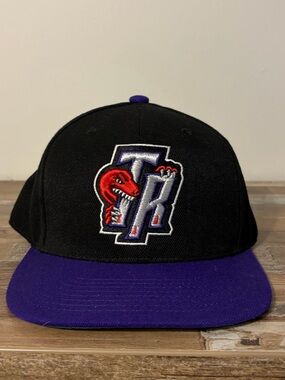 Toronto Raptors Mitchell & Ness Black Fitted Hat